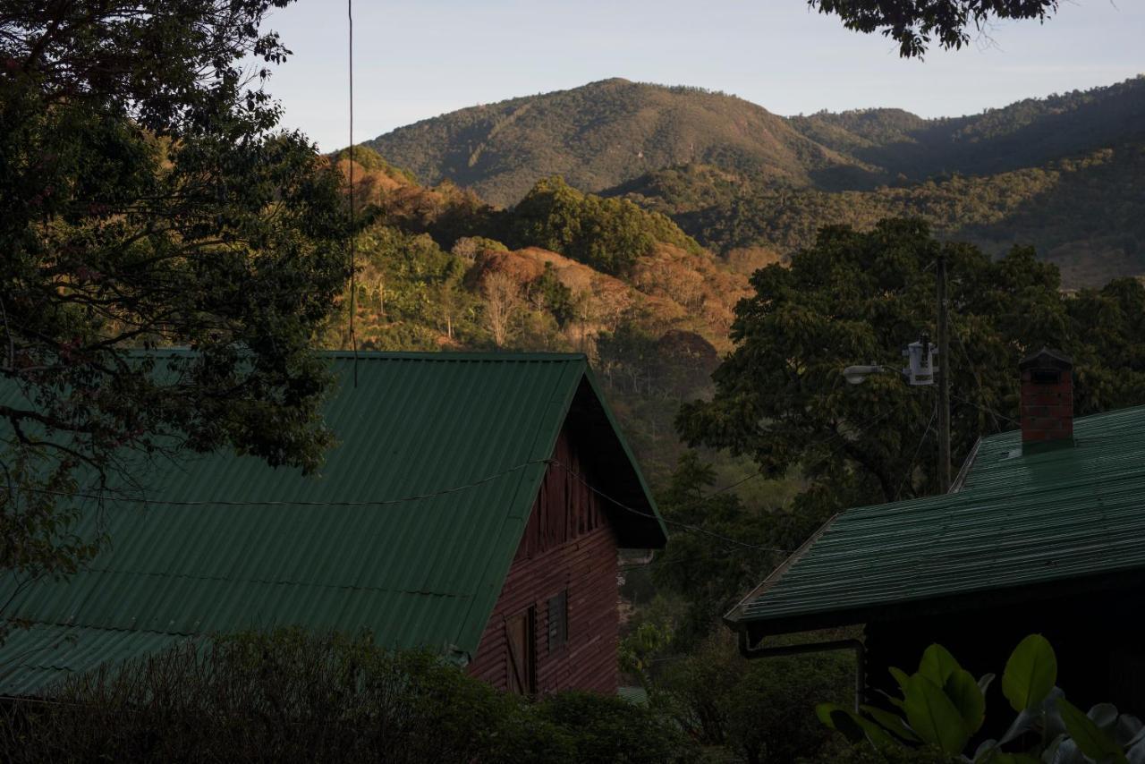 Cedrela Eco-Lodge & Restaurante Copey Ngoại thất bức ảnh