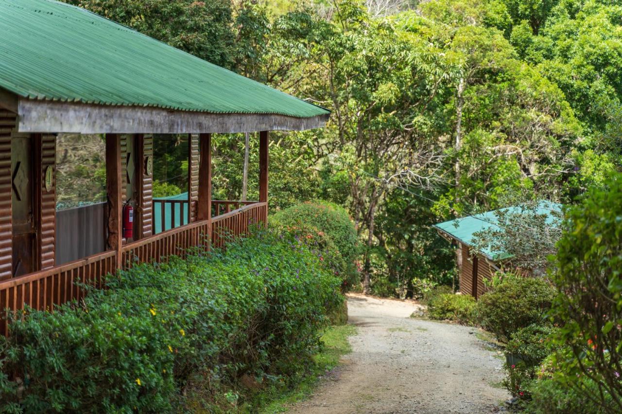 Cedrela Eco-Lodge & Restaurante Copey Ngoại thất bức ảnh