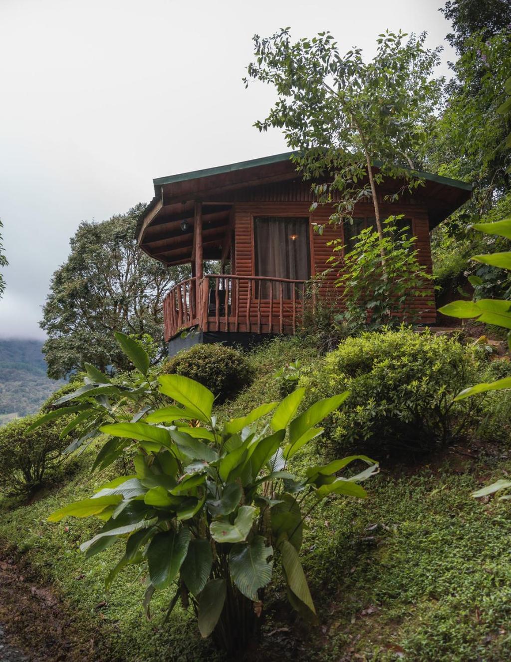 Cedrela Eco-Lodge & Restaurante Copey Ngoại thất bức ảnh