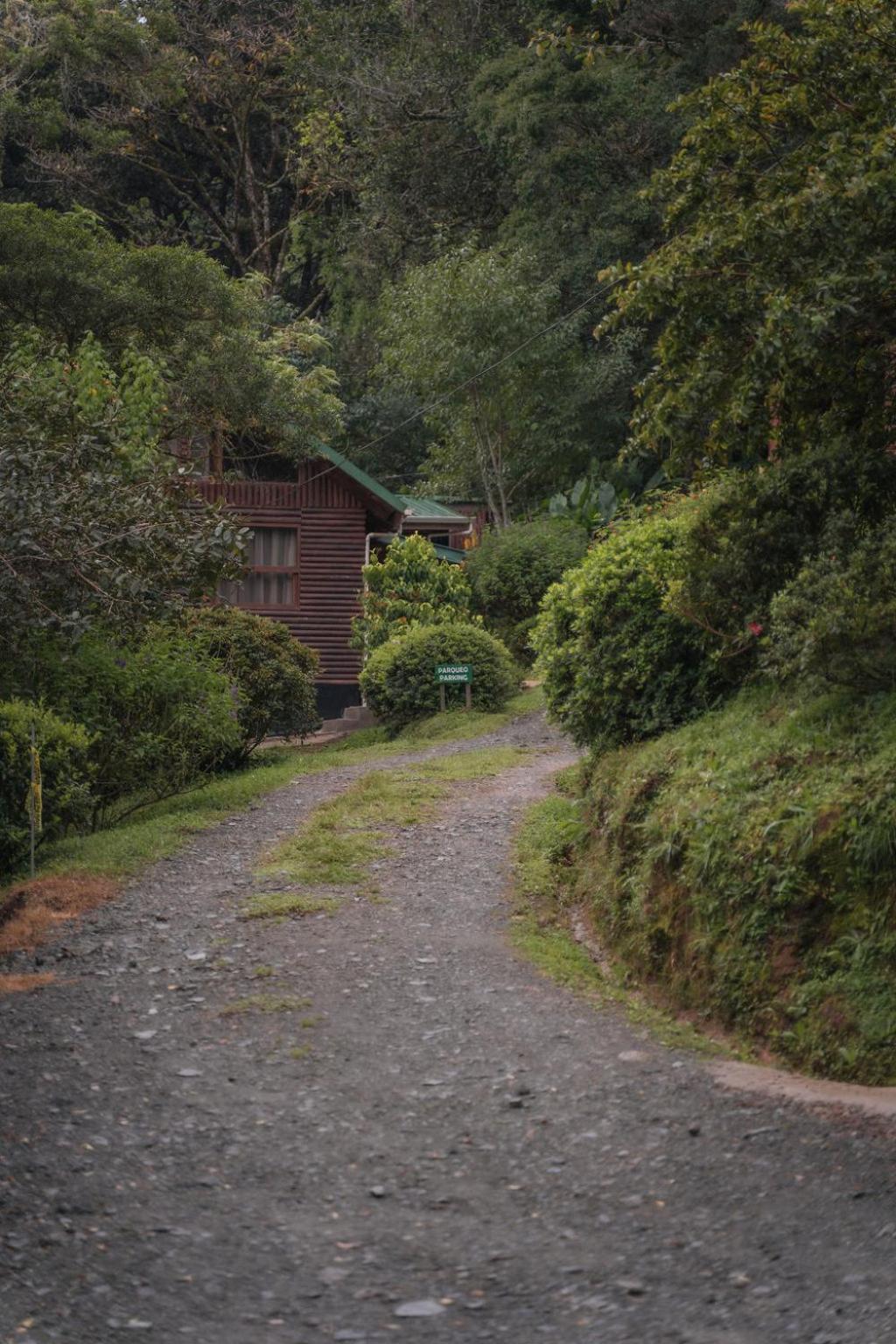 Cedrela Eco-Lodge & Restaurante Copey Ngoại thất bức ảnh