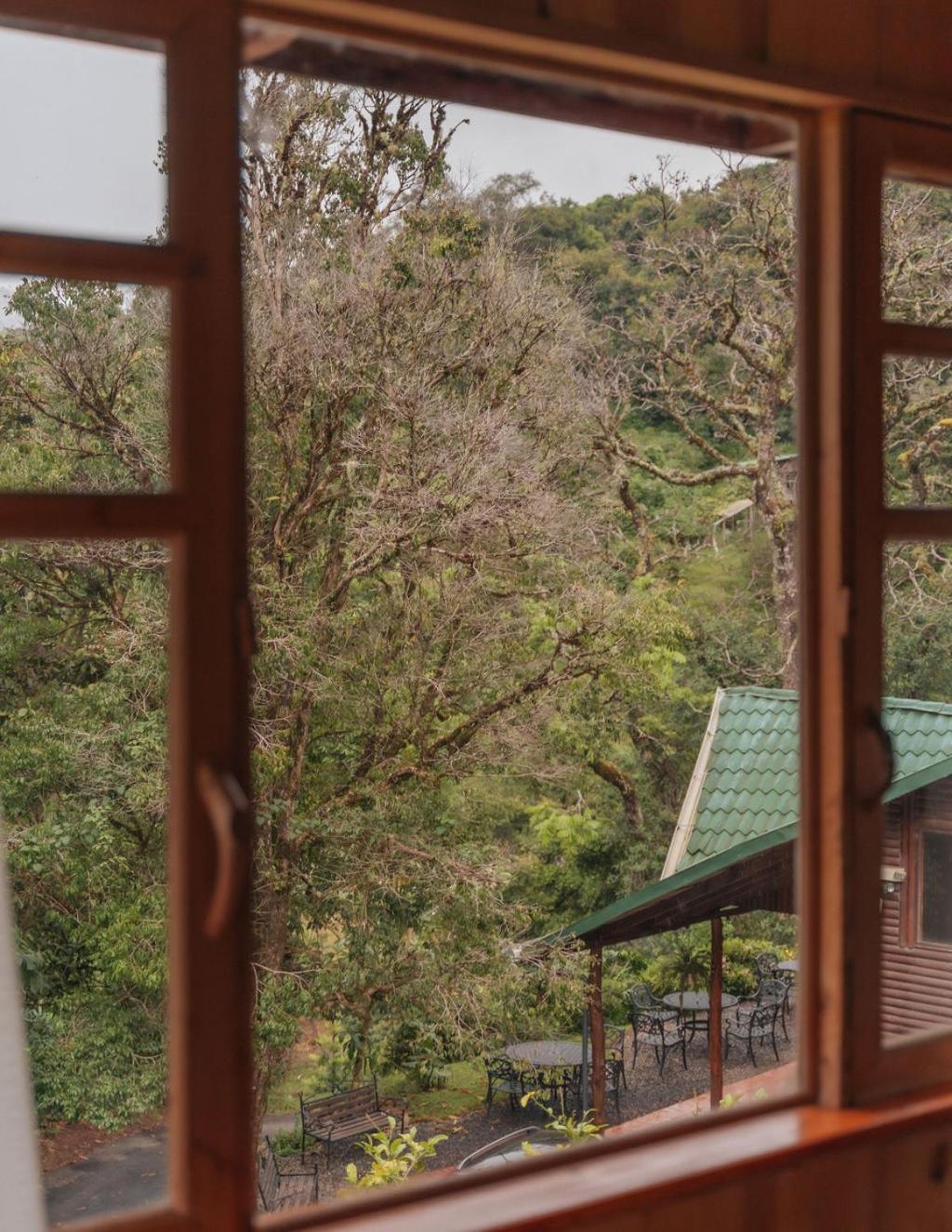 Cedrela Eco-Lodge & Restaurante Copey Ngoại thất bức ảnh