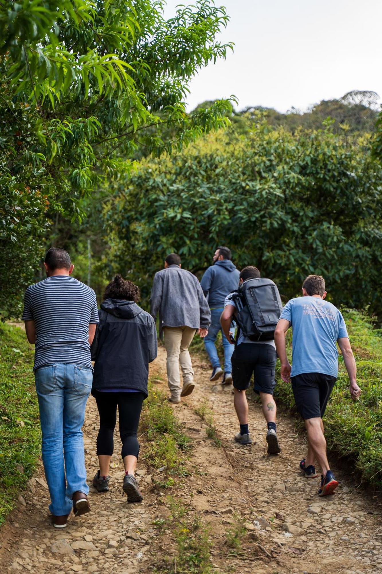 Cedrela Eco-Lodge & Restaurante Copey Ngoại thất bức ảnh